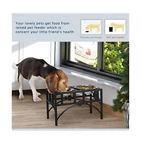Aostirmotor 17 in Double Stainless Steel Heavy Duty Dog Food Bowl Elevated Pet Feeding Station for Medium Dogs