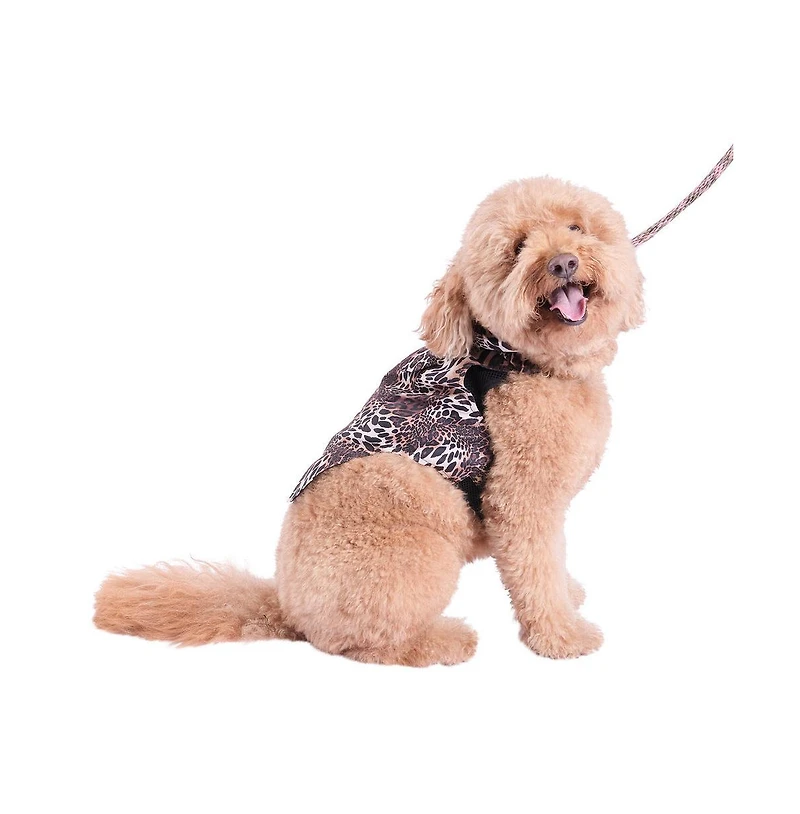 Natori Leopard Raincoat & Harness Set