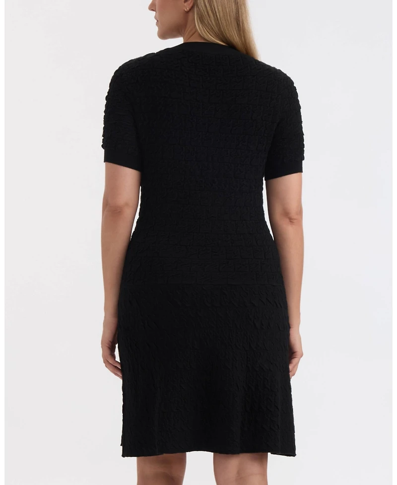 Ellen Tracy Women's Dropped Waist Sweater Dress with Placket