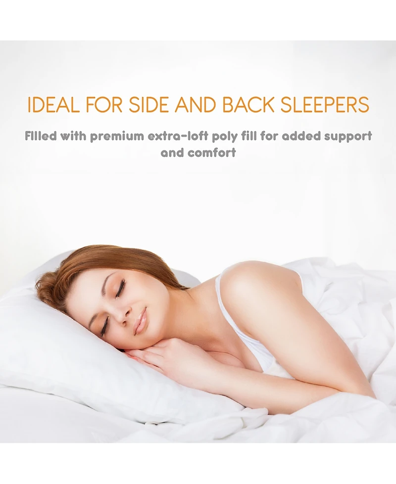 C&C California 2-Pack Pillow Set, Standard