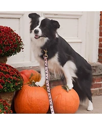 Up Country Witchy Dog Lead