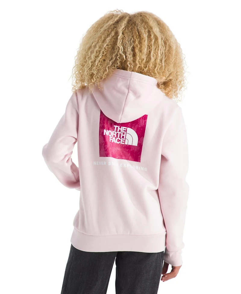 The North Face Big Girls Evolution Box Pull On Hoodie