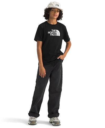 The North Face Big Boys Teen Evolution Half Dome T-Shirt