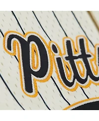 Mitchell & Ness Men's Troy Polamalu Cream Pittsburgh Steelers Name Number Mesh Button-Up Baseball Jersey