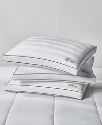 Lacoste Home Tennis Stripe Cotton Gusseted Firm-Density Pillow