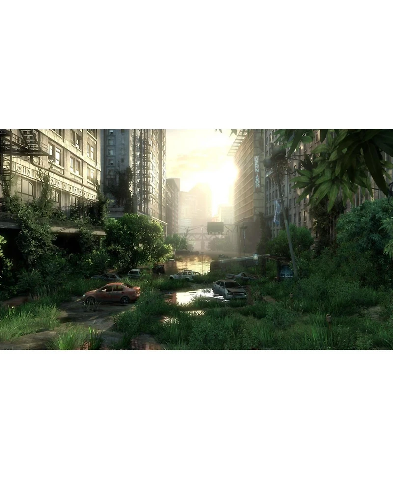 Sony Computer Entertainment [Renewed] The Last of Us