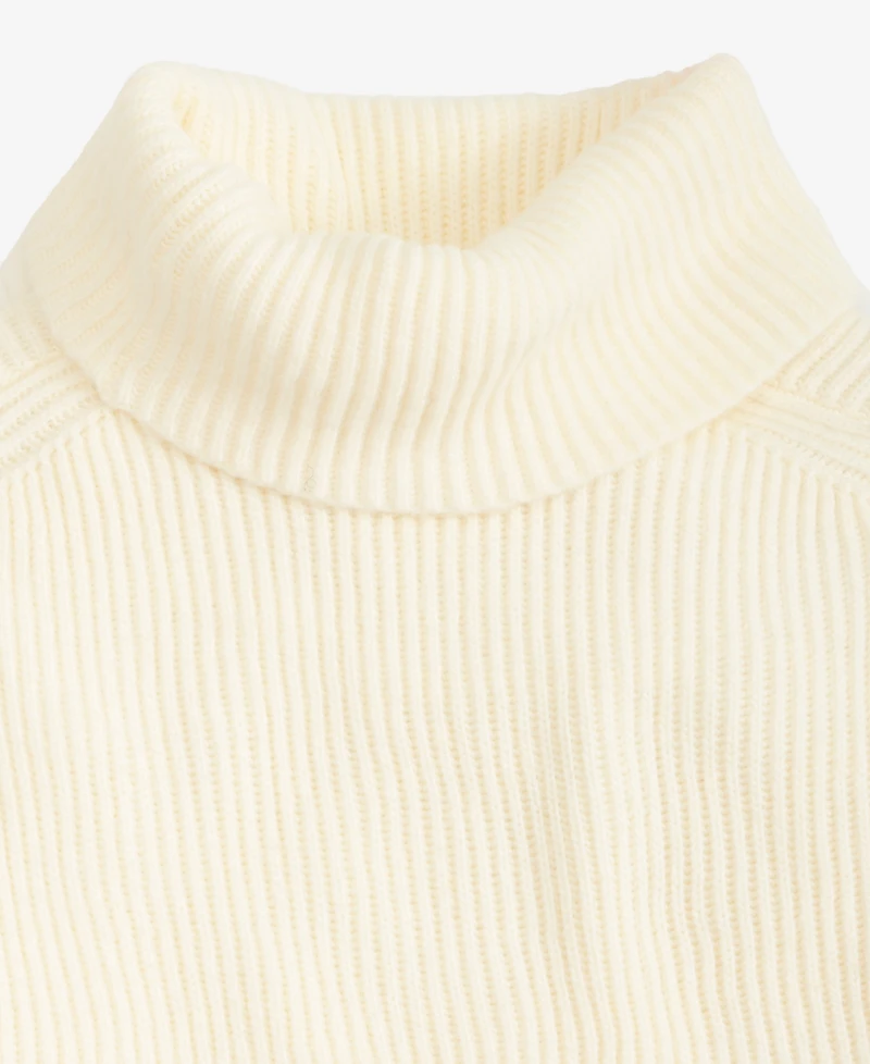 I.n.c. International Concepts Women's Sleeveless Rib-Knit Turtleneck Sweater, Macy's Exclusive