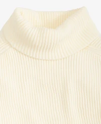 I.n.c. International Concepts Women's Sleeveless Rib-Knit Turtleneck Sweater, Macy's Exclusive