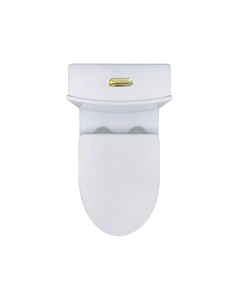 Casainc Dual Flush 1.1/1.6 Gpf Elongated One-Piece One-Piece Bathroom Fixture, Comfort Height, Water-Saving Design, Map 1000g