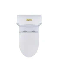 Casainc Dual Flush 1.1/1.6 Gpf Elongated One-Piece One-Piece Bathroom Fixture, Comfort Height, Water-Saving Design, Map 1000g