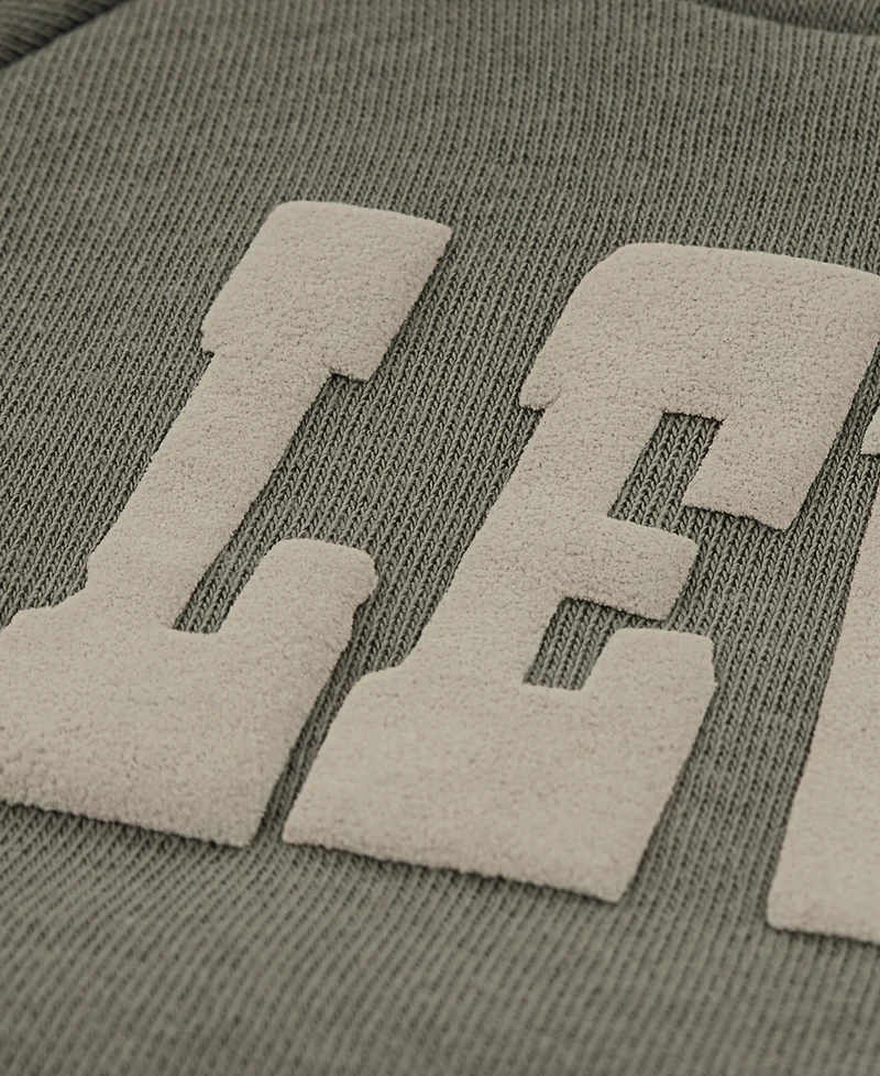 Levi's Baby Boys 2-Piece Taped Pull On Hoodie and Jogger Pants