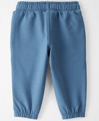 Little Planet by Carter's Baby Boys 2-Pack Organic French Terry Sweatpants