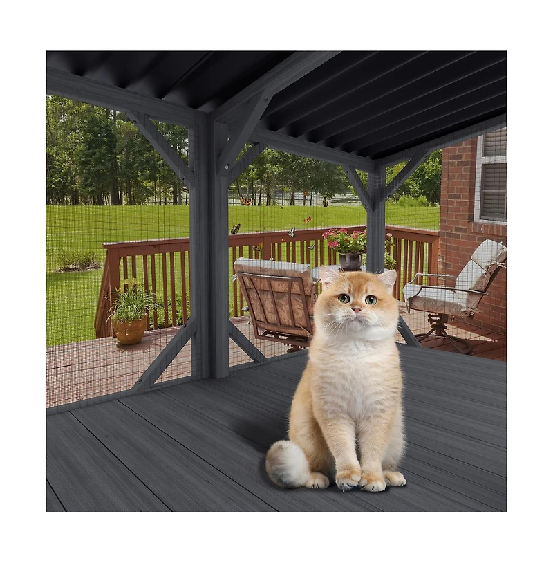 Zeus & Ruta 43.3" Outdoor Cat Window Box with Bug-Proof Net