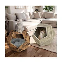 Zeus & Ruta 25.98" Pet Carrier Side Table Planter in Colored Oak