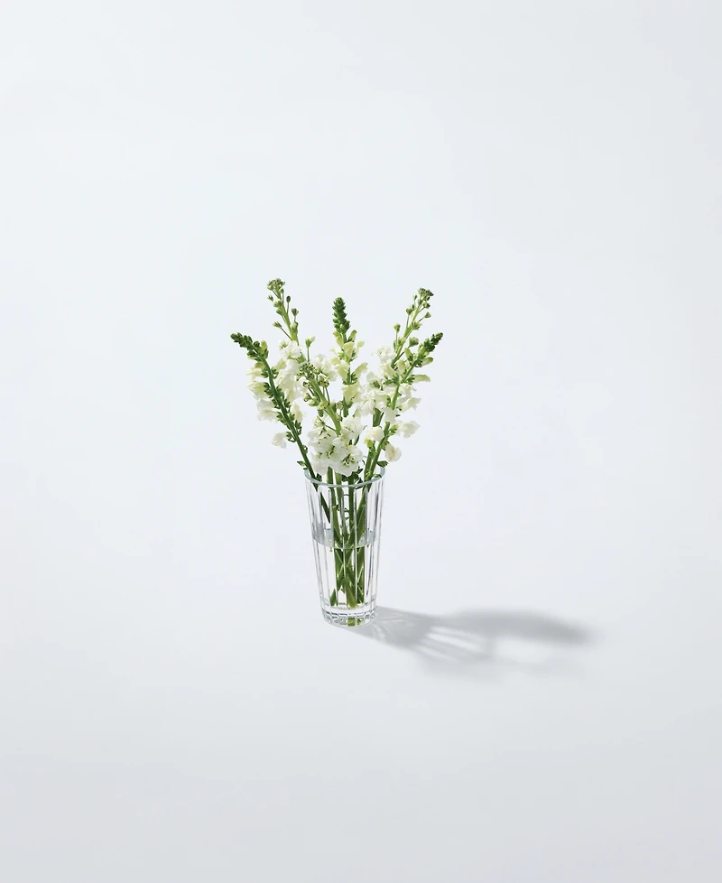 Marquis by Waterford Herald Vase, 10"