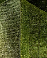 Adorn Hand Woven Rugs Fine Vibrance M1437 4'2"x6' Area Rug