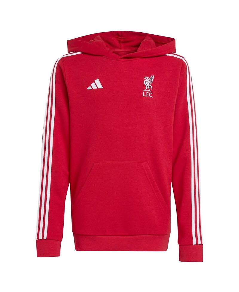 Adidas Big Boys and Girls Red Liverpool Dna Hoodie