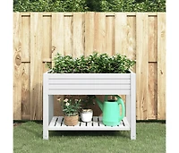Garden Raised Bed White Polypropylene Large Durable
