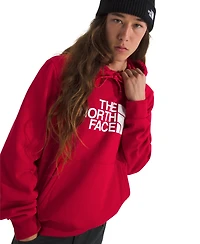 The North Face Men's Evolution Half Dome Pull Over Hoodie