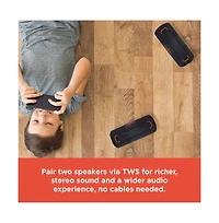 RadioShack 50W Gray and Orange Wireless Bluetooth Portable Speaker With Type C Charging Cable 4001784