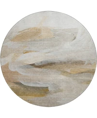 Dalyn Ravenna Washable RN11 8'x8' Round Area Rug