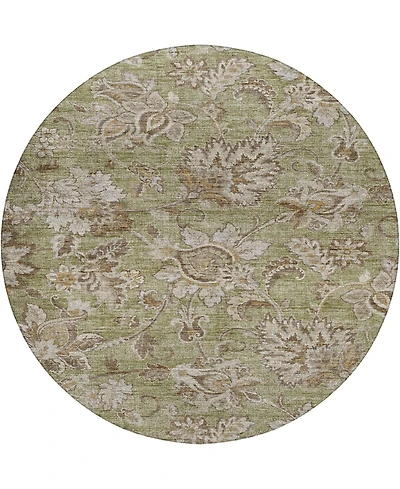 Dalyn Silk Road Washable SR2 8'x8' Round Area Rug