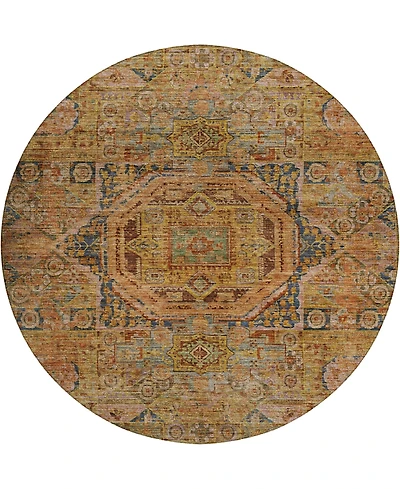 Dalyn Silk Road SR10 8'x8' Round Area Rug