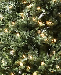 Balsam Hill 9' Pre-Lit Fir Ledc Artificial Christmas Tree