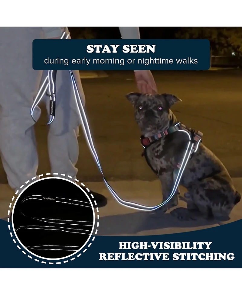 Puppington Reflective Leash