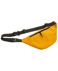 Travel Waist Pouch