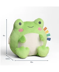 Itzy Ritzy Baby Sweetie Snuggles Frog