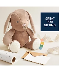 Itzy Ritzy Baby SweetieSnuggles Bunny Taupe