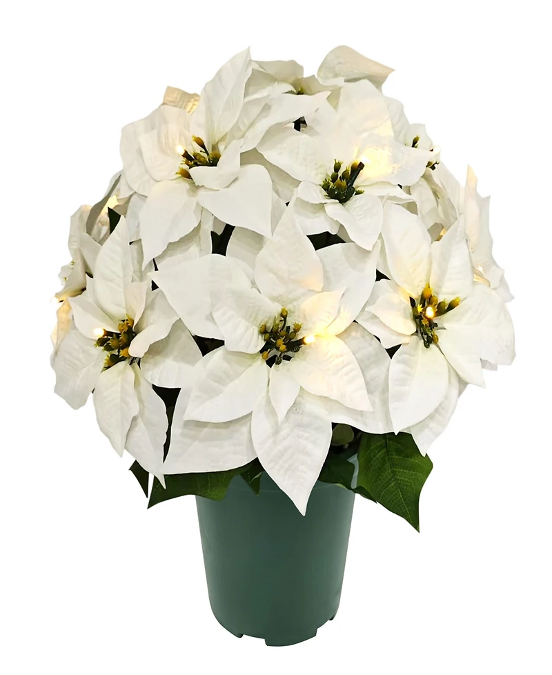 Puleo 19" Pre-Lit Artificial Potted White Poinsettias
