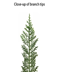 Puleo 9' x 10" Pre-Lit Battery-Operated Cedar Garland