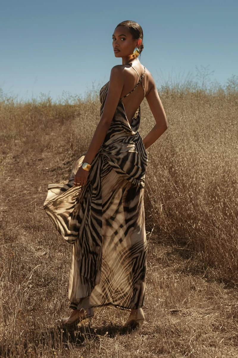 Jluxlabel Zebra Print Infinite Journey Maxi Dress