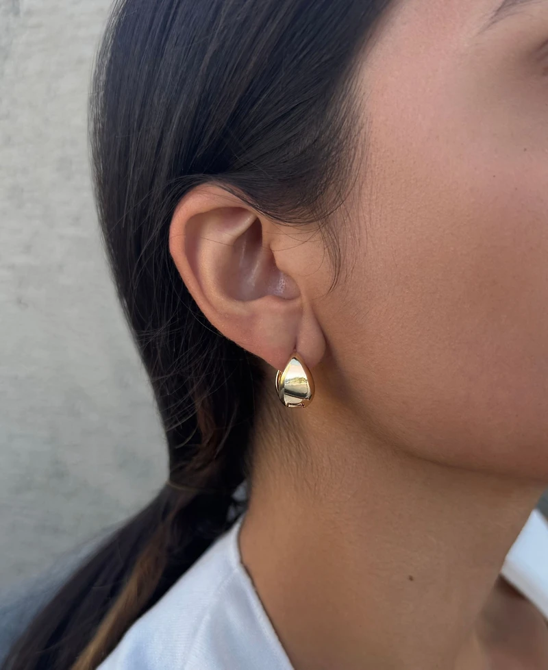 Adornia Gold Plated Purse Hoop Earrings