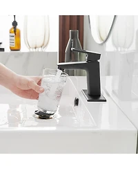 Greenspring Single Hole Single-Handle Bathroom Faucet with drain in Matte Black