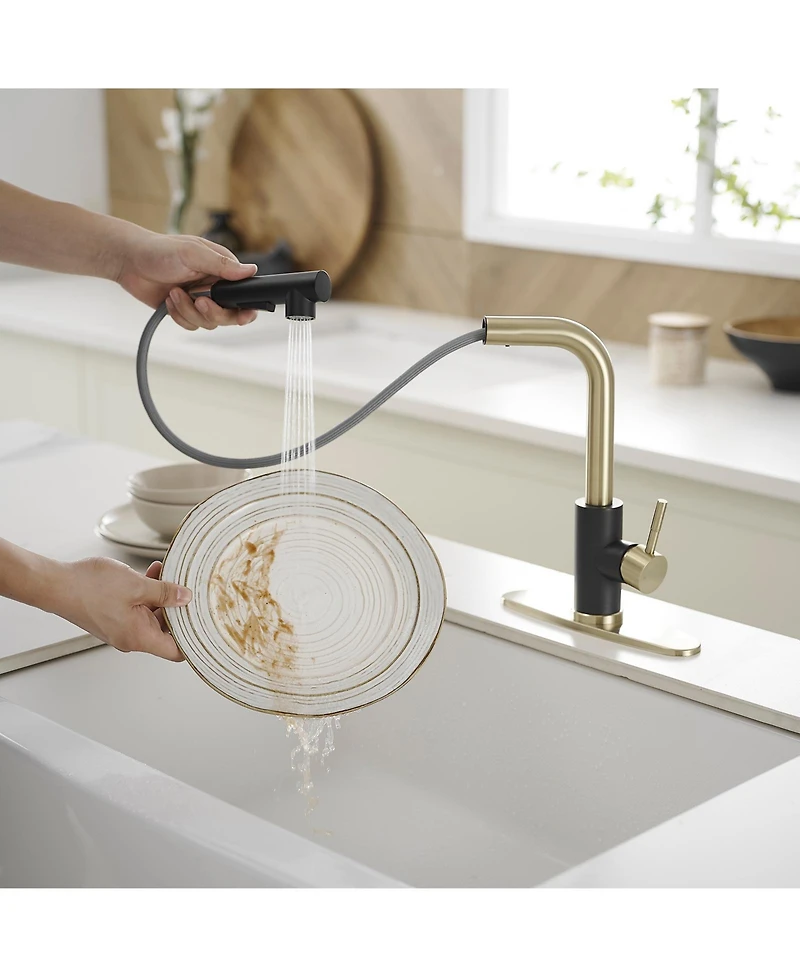 Greenspring 2 Sprayer Single Hole Single-Handle Pull Out Kitchen Faucet in Matte Black and Brushed Gold