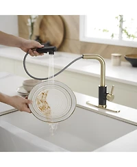 Greenspring 2 Sprayer Single Hole Single-Handle Pull Out Kitchen Faucet in Matte Black and Brushed Gold