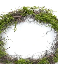 Moss Leaf Twig Wreath for Natural Home Decor (Set of 4)