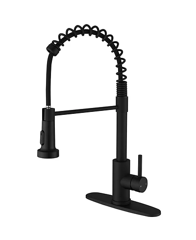 Greenspring Single-Handle Pull-Down Sprayer High Arc Kitchen Faucet With Deck Plate in Matte Black