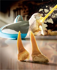 Discovery #Mindblown Shark Teeth Unearthed Excavation Kit 2-Pack