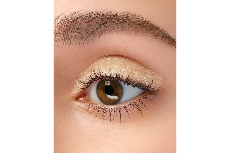 Anna Sui Shiny Eye Color 700