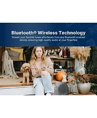 Emerson Ers-1001 Bluetooth Waterproof Outdoor Rock Speaker with Solar Charging