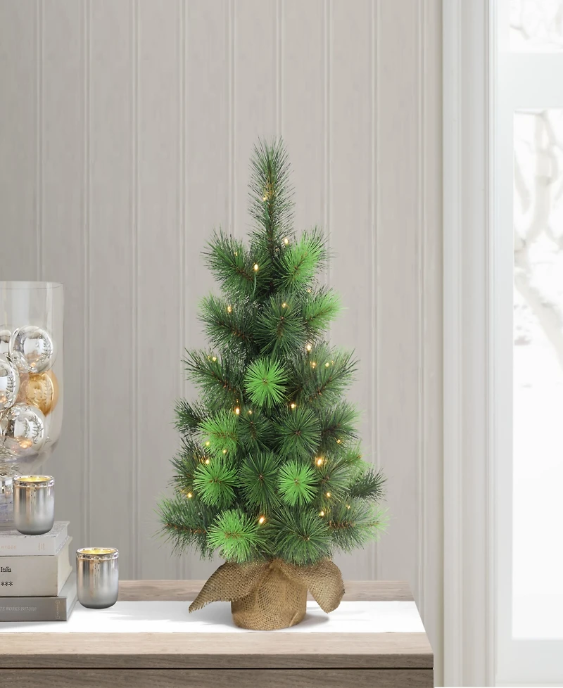 Puleo Pre-Lit Table Top Artificial Christmas Tree with 35 Lights in Sac, 2'