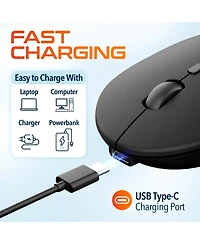 Delton S16 Wireless Mouse, Quiet, Adjustable Dpi (DMS16-wr)