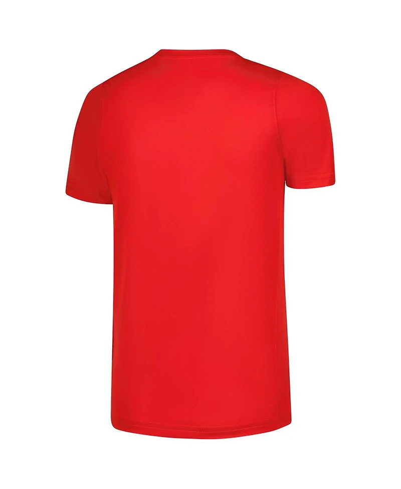 Nike Big Boys and Girls Scarlet Ohio State Buckeyes Logo Legend Dri-fit T-Shirt