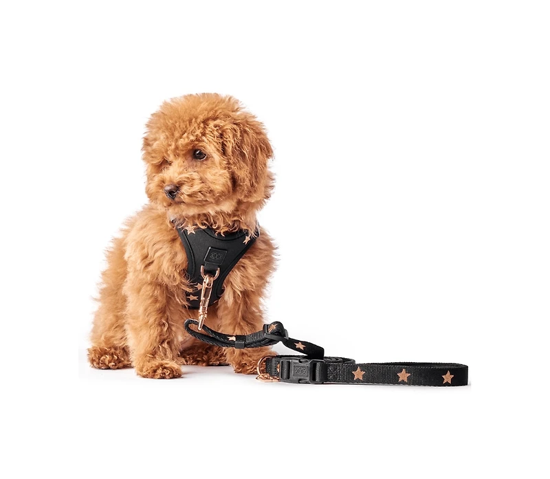 Dogistry 3-in-1 City Dog Leash - Rockstar