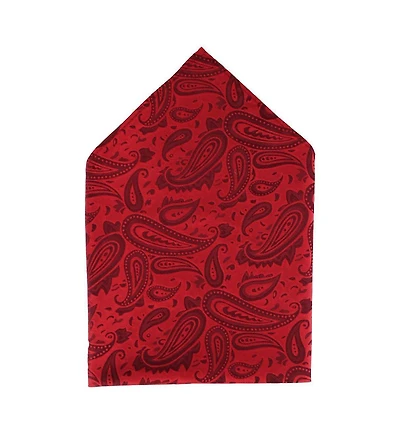 Trafalgar Men's Banbury Tone on Tone Paisley 12 Inch Silk Pocket Square