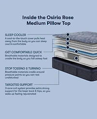Serta Perfect Sleeper Osiria Rose 14" Medium Pillow Top Mattress Set, California King